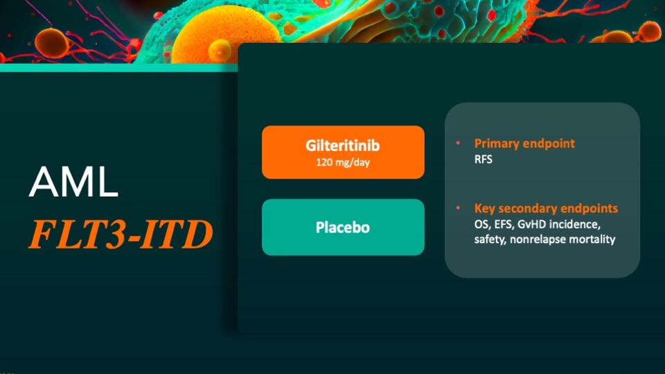 Il ruolo di gilteritinib nel mantenimento post-trapianto nelle AML FLT3-ITD mutate: lo studio MORPHO